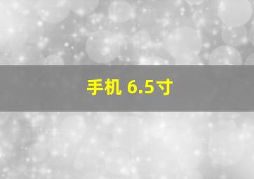 手机 6.5寸